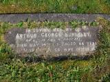 image of grave number 172716